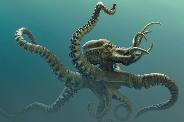 Kraken hydra