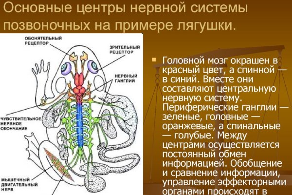 Кракен действующая ссылка